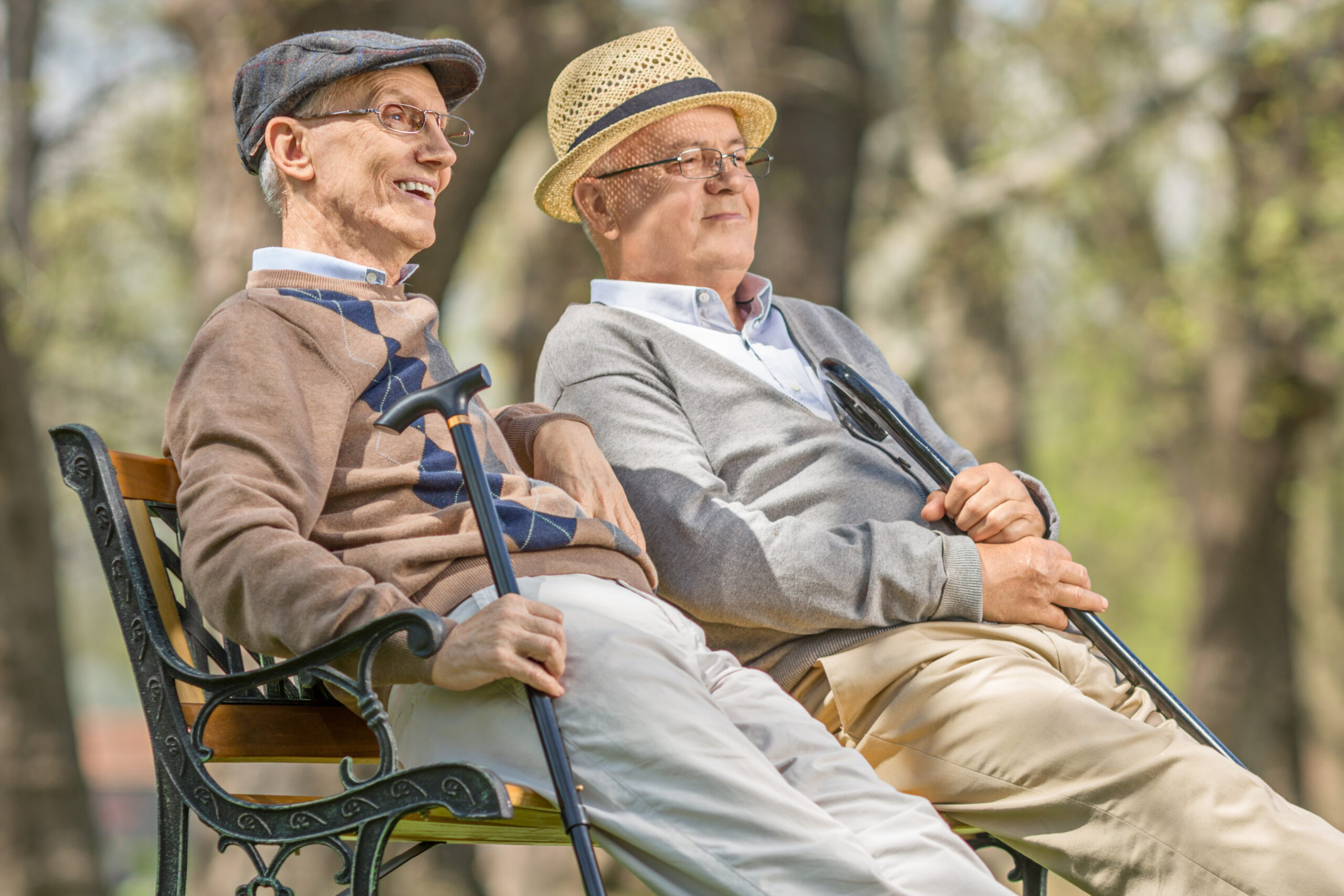 Seniors relaxing on a bench Seniors relaxing on a bench